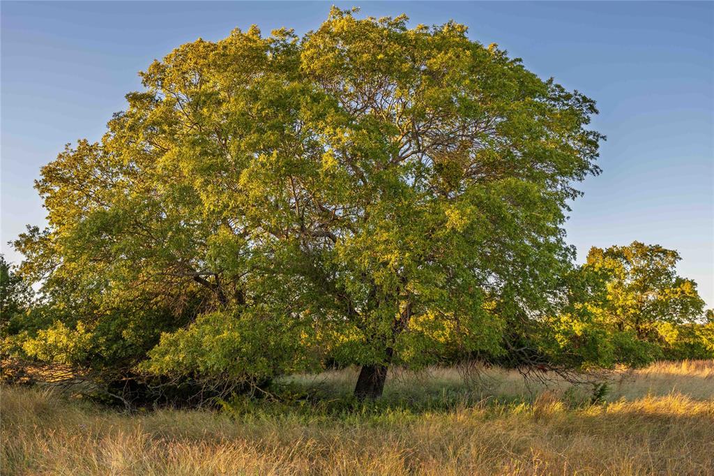 Rural - Land
