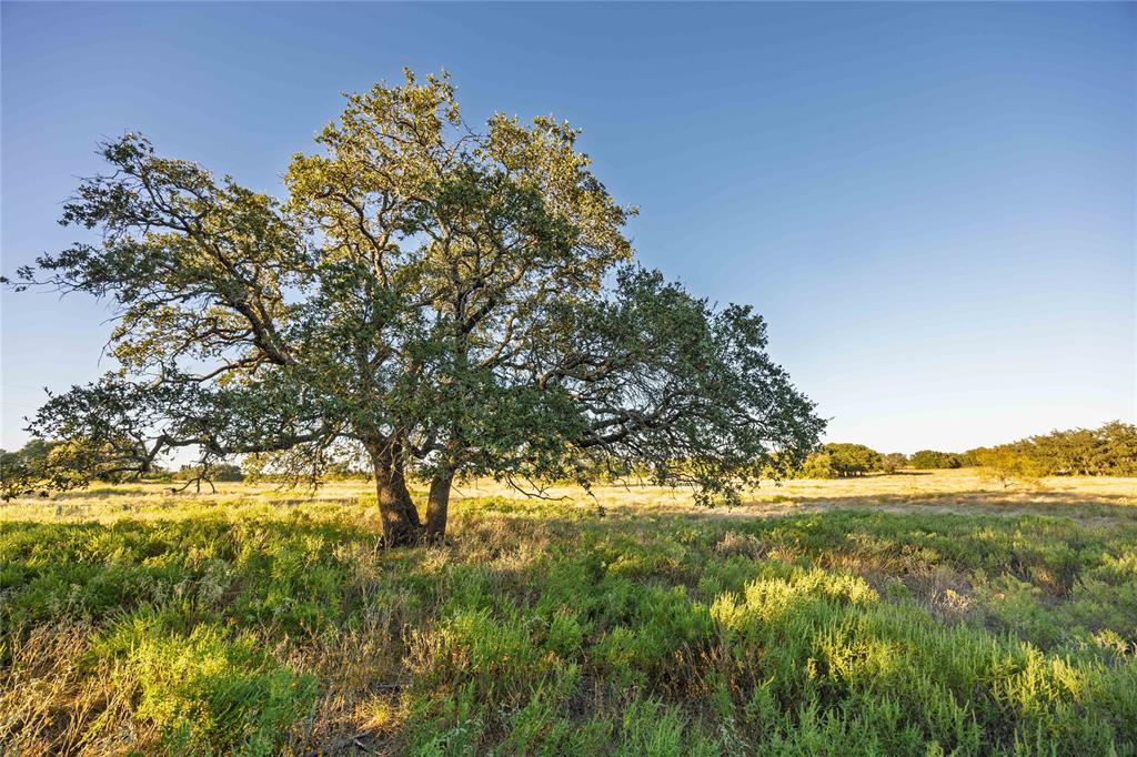 Rural - Land
