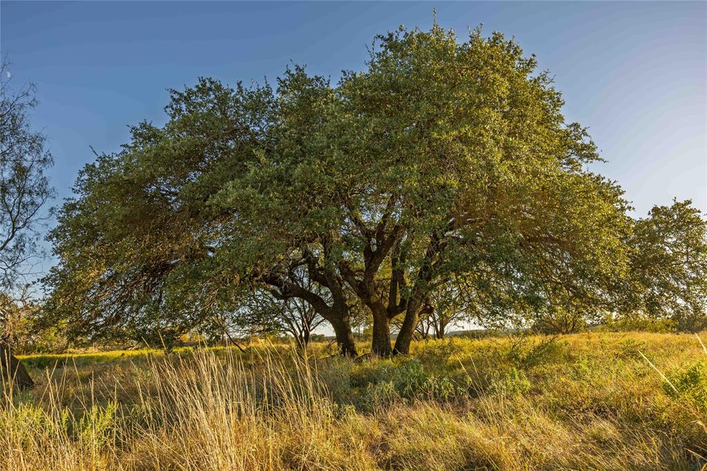 Rural - Land