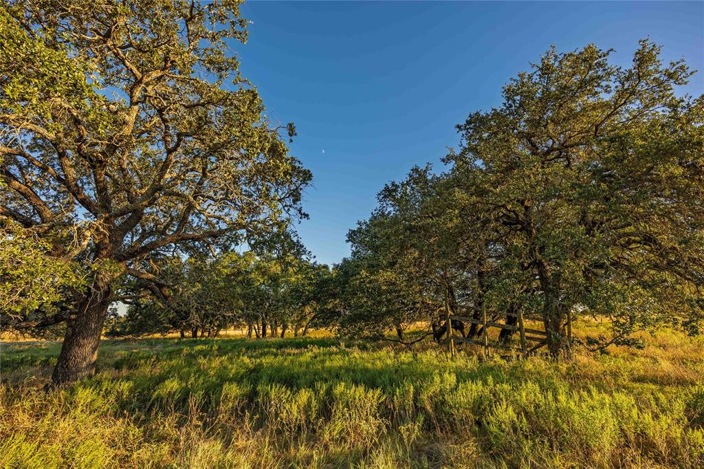 Rural - Land