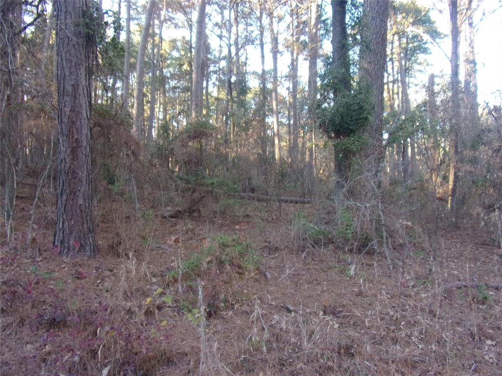 Pine Trail Shores - Land