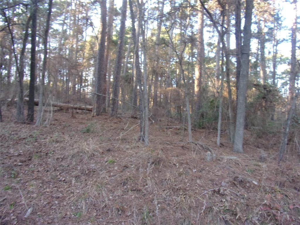 Pine Trail Shores - Land