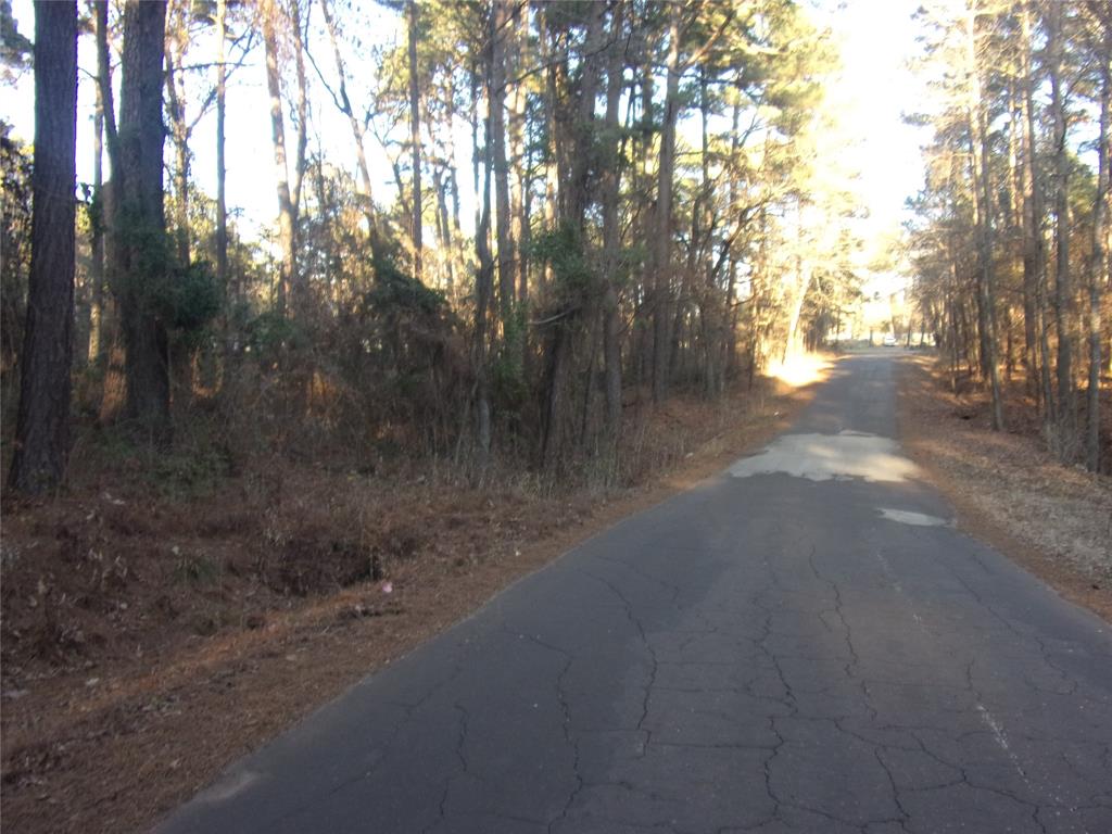 Pine Trail Shores - Land