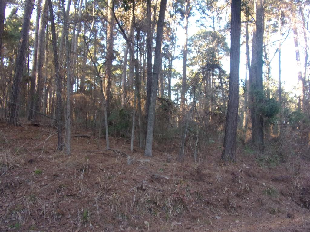 Pine Trail Shores - Land