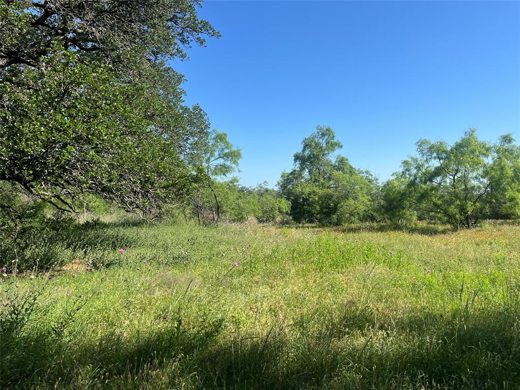 0 - Farm