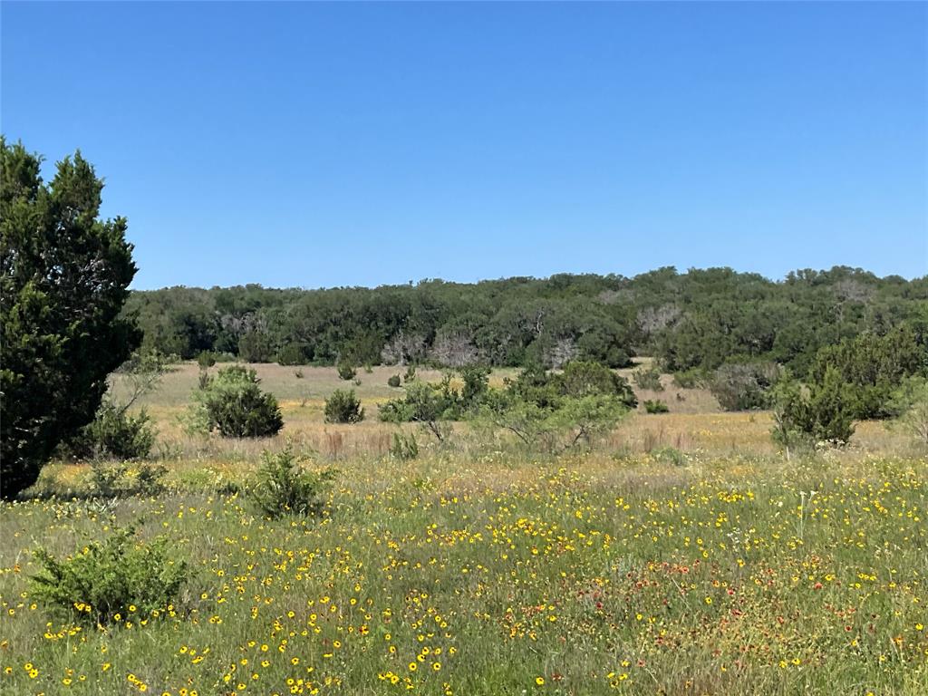 0 - Farm