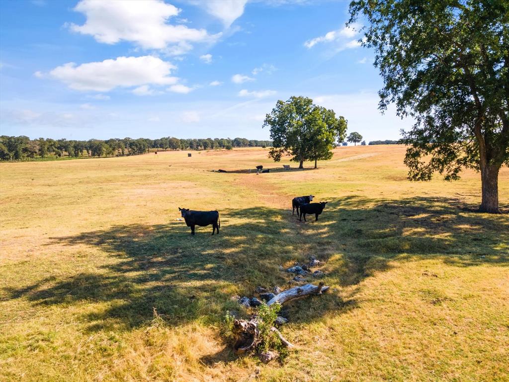 H Boone - Farm
