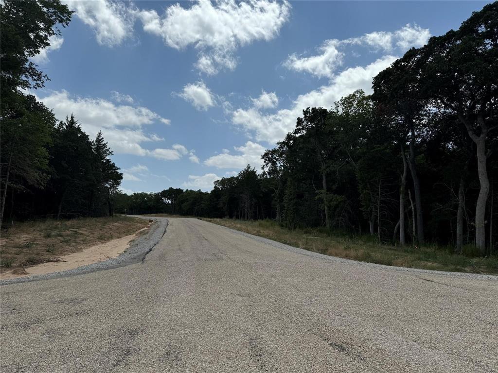 Cedar Springs Estates - Land