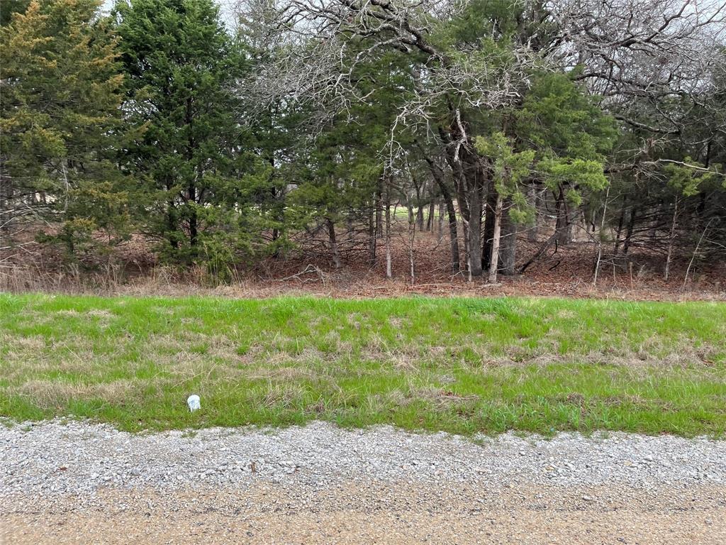 Cedar Springs Estates - Land