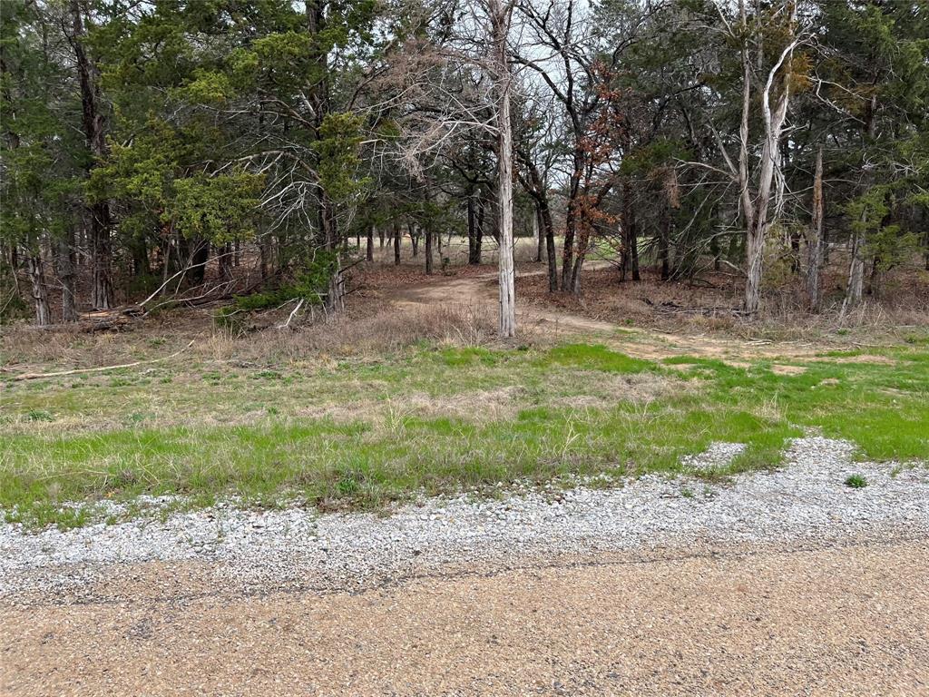 Cedar Springs Estates - Land