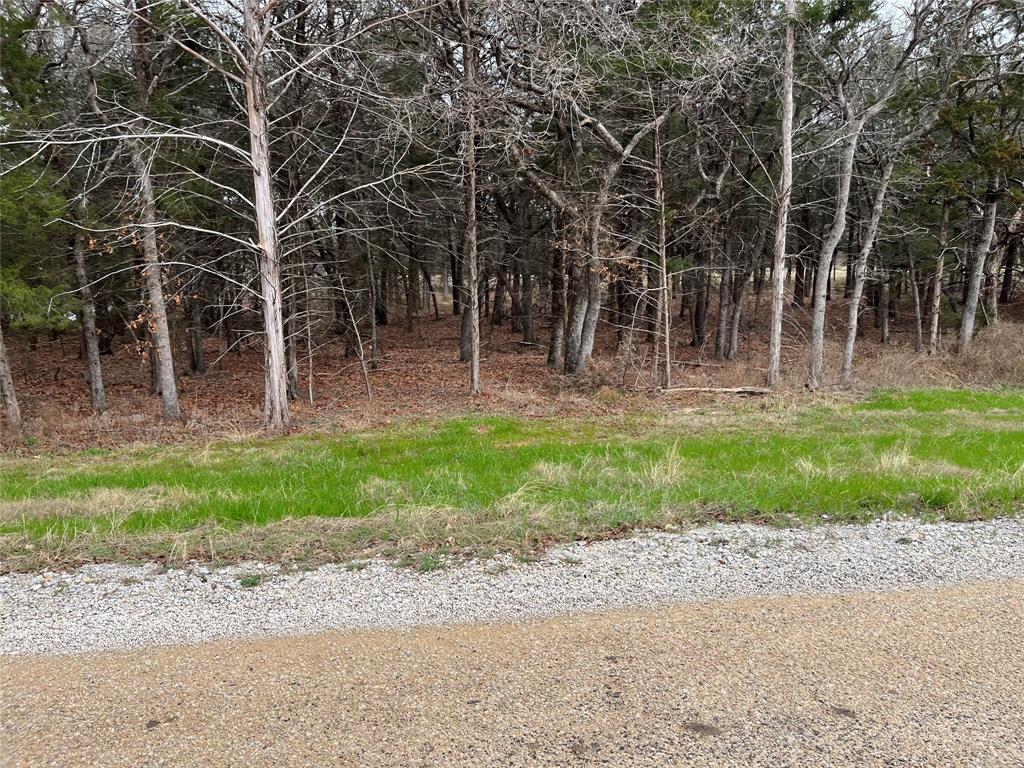 Cedar Springs Estates - Land