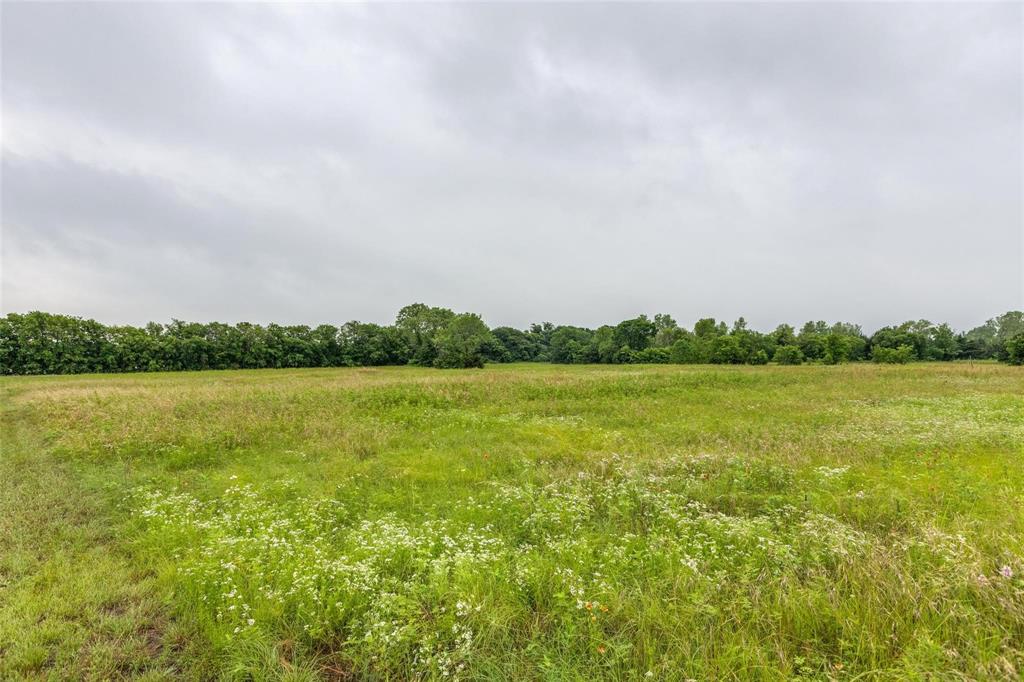 Bloomdale Farms - Land