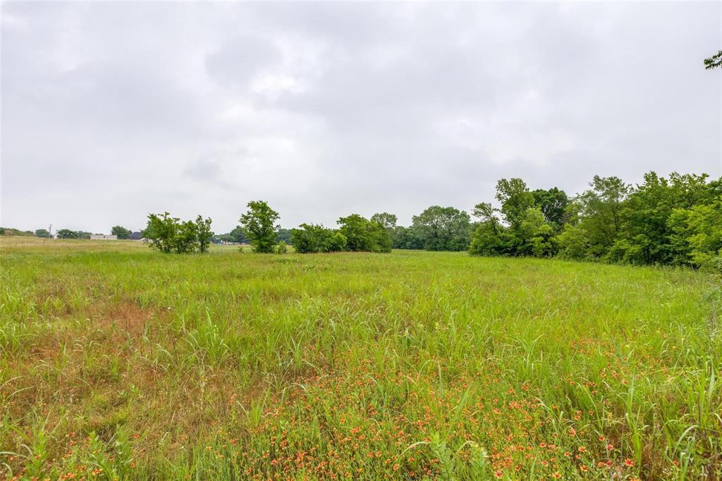 Bloomdale Farms - Land