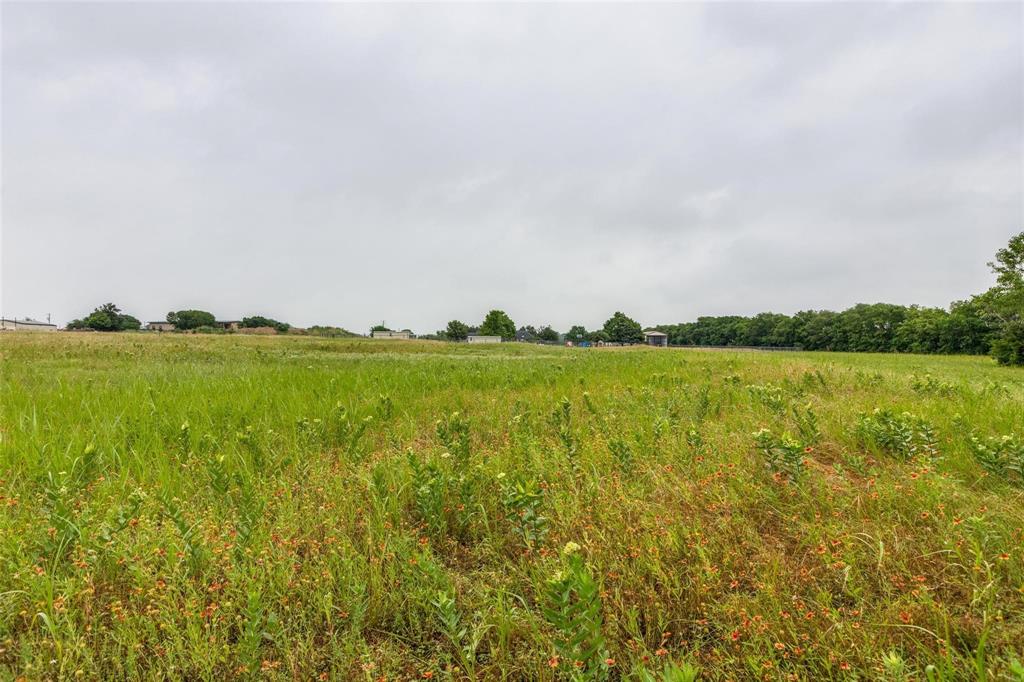 Bloomdale Farms - Land