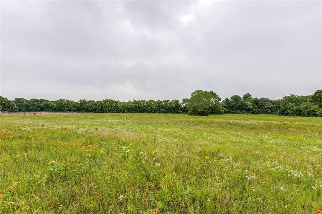 Bloomdale Farms - Land