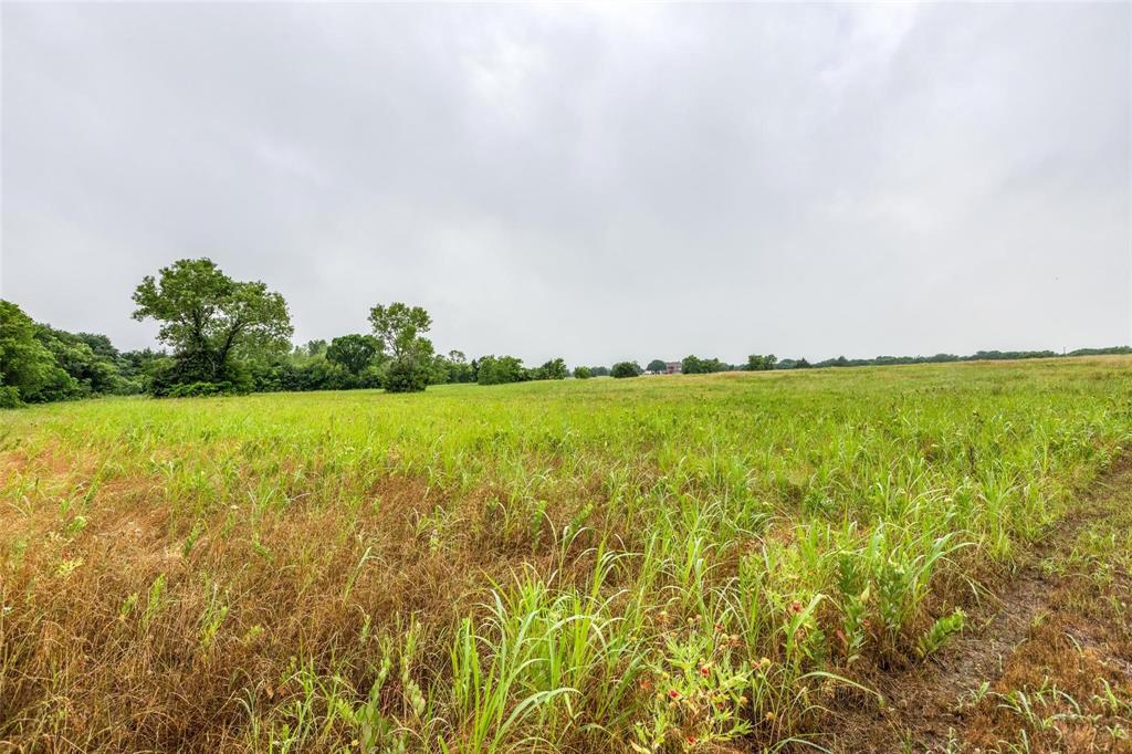 Bloomdale Farms - Land