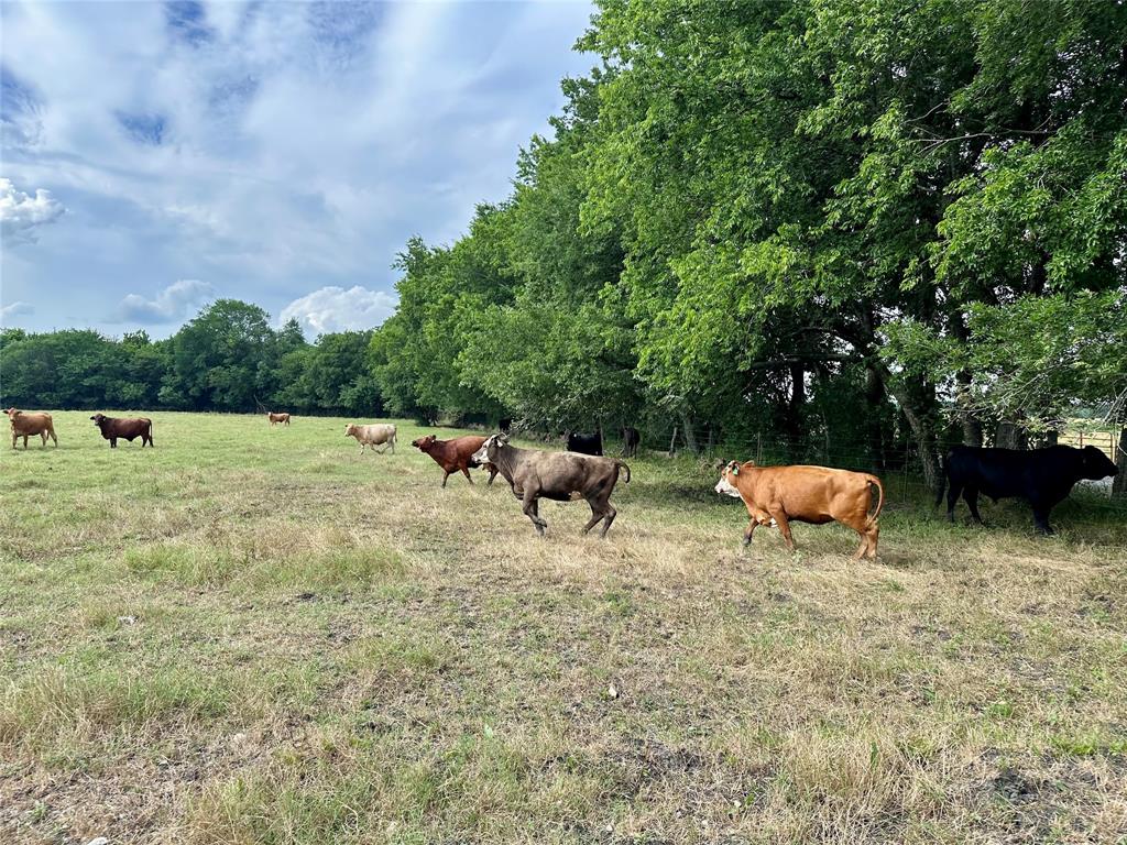 J WOODS TRACT 1 ACRES 100.57 - Land