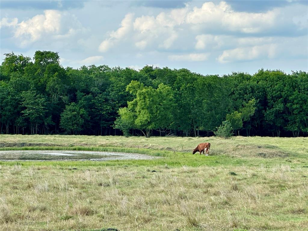 J WOODS TRACT 1 ACRES 100.57 - Land