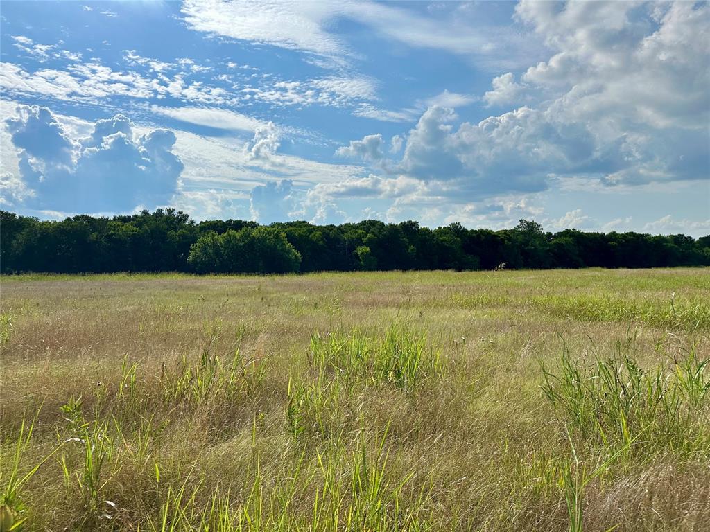 J WOODS TRACT 1 ACRES 100.57 - Land