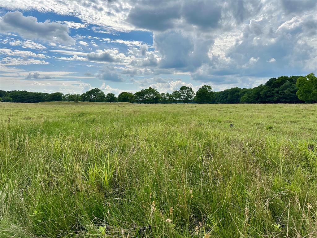 This 100.57-acre ag-exempt property offers a rare combination of productivity, access, and recreational appeal. Designed for efficient livestock management, the land includes two gated entrances off FM 2130 and FM 2145. The primary entrance on FM 2130 features a culvert and 3in limestone base for durable access in all seasons.
Approximately 60 acres are fully fenced and cross-fenced into thirds, complete with multiple gates, a road-side cattle pen, and lean-to, providing a turnkey setup for cattle or rotational grazing. The remaining 40 acres are partially fenced, with only the wooded tree line—about 2,800 feet—left open.
The fertile bottom land consistently produces over 7 hay bales per acre yearly on average and includes two ponds along with seasonal creeks that run through the property. These natural features support abundant wildlife including deer, hogs, rabbits, and other small game, making the land equally well suited for hunting and recreational use.
Fencing throughout the property is in great condition, and utilities are available, including power, water, and fiber internet. Whether you’re looking for a high-performing agricultural property, a recreational retreat, or a long-term land investment, this property delivers versatility, infrastructure, and proven productivity.  There is also a house on 63 acres available for a total of 163 acres MLS 21287673
