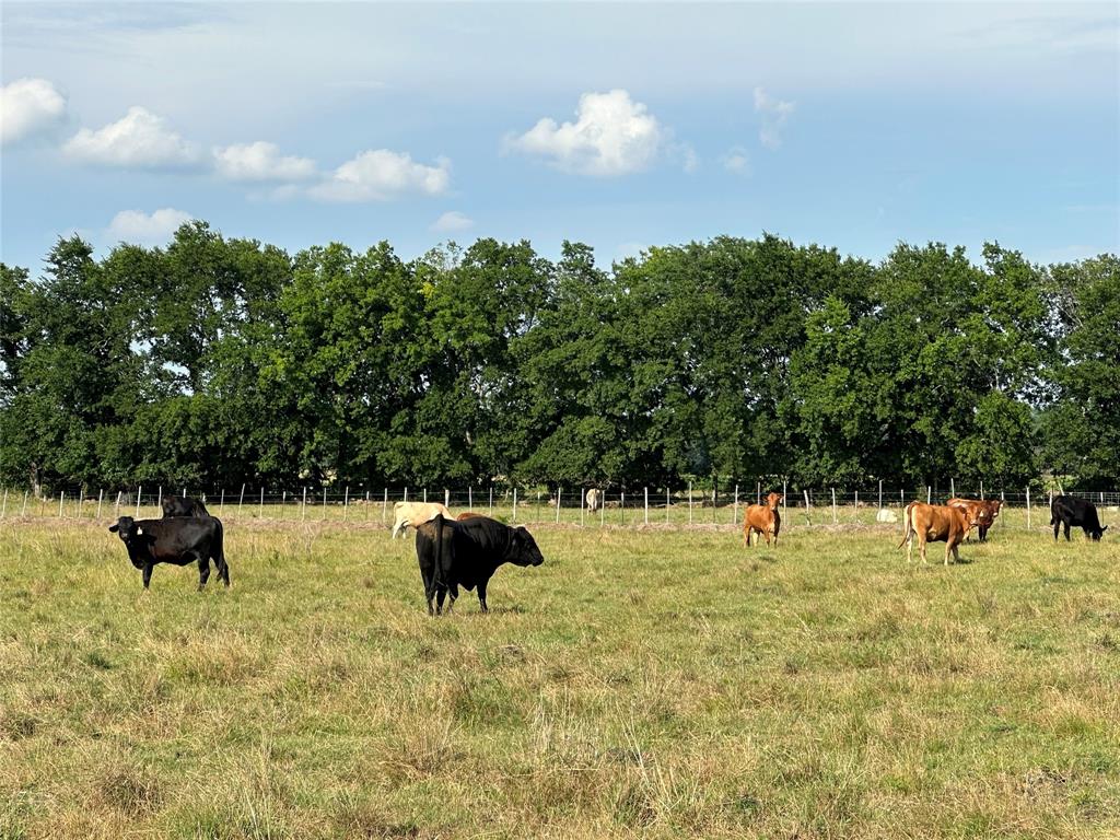 J WOODS TRACT 1 ACRES 100.57 - Land