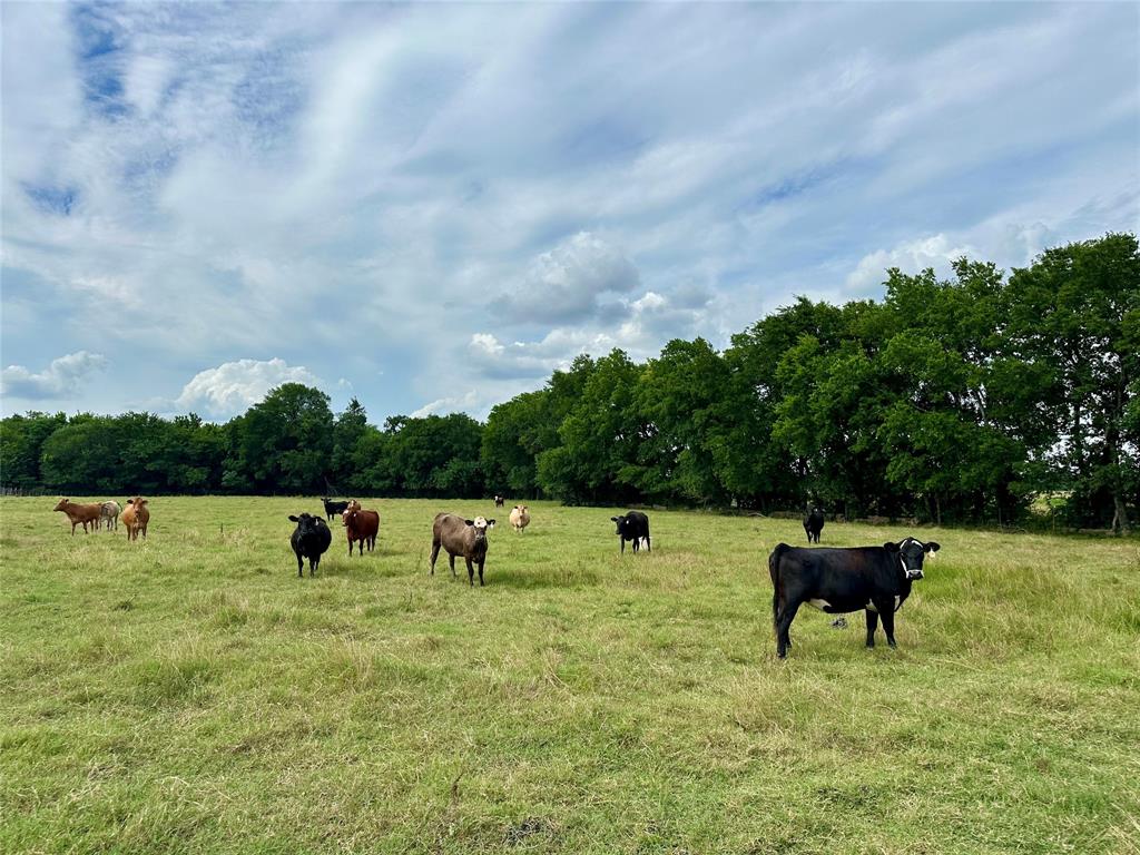 J WOODS TRACT 1 ACRES 100.57 - Land