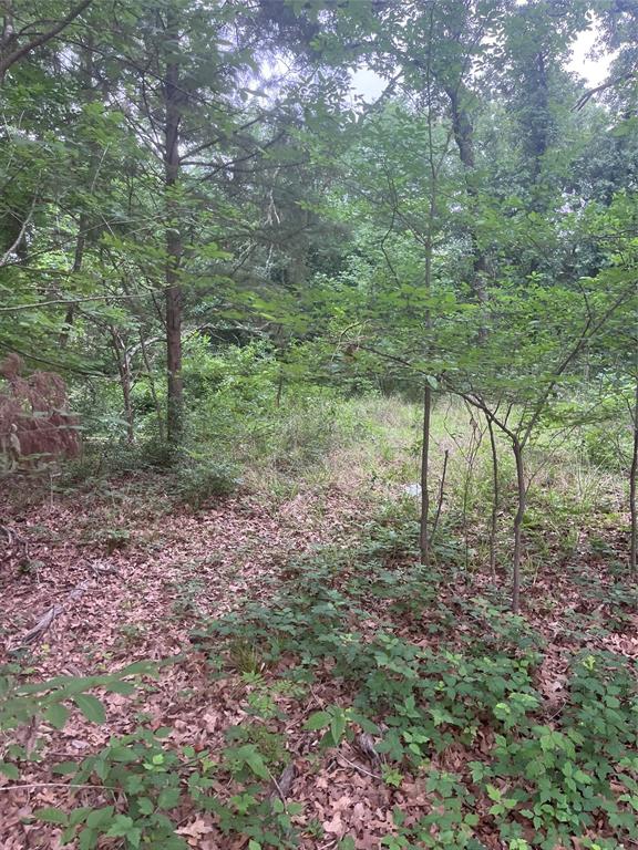 Buildable lot or a manufactured home could be moved in. This lot backs up to a channel, but currently has no water. This lot is in a subdivision that has a boat ramp, and swimming pool for HOA members. No survey available.