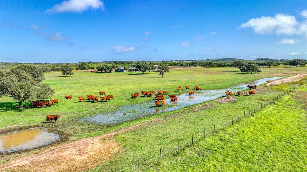 Levi T Bostick Surv Abs #8 - Farm