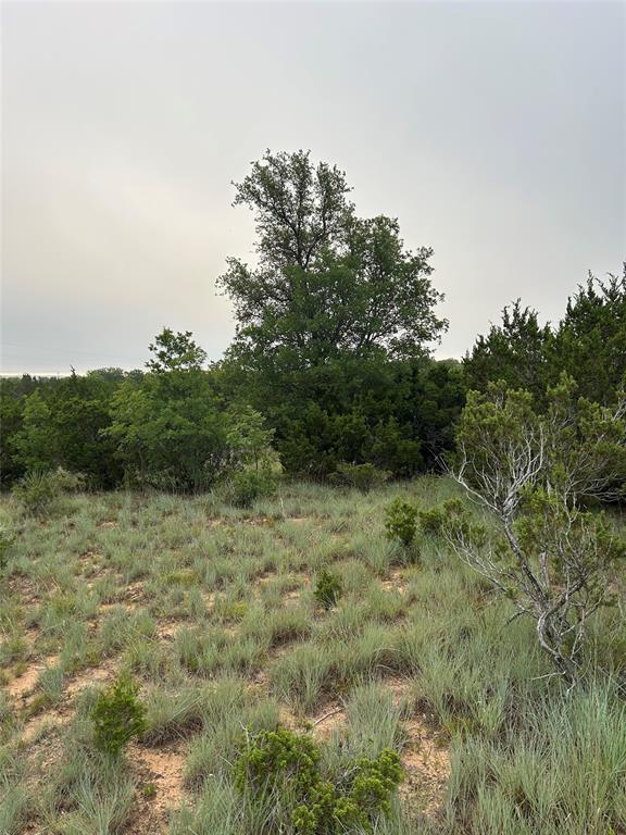 Deer Mountain Estates - Land