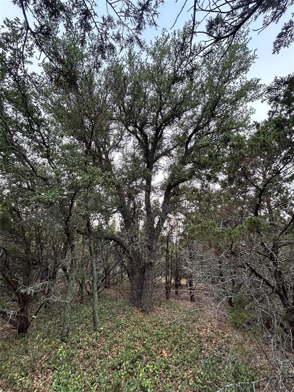 Deer Mountain Estates - Land