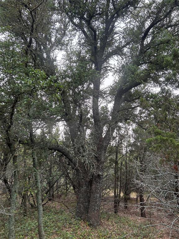 Deer Mountain Estates - Land