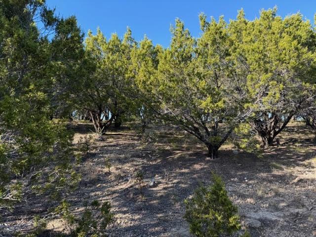 Hills Above Possum Kingdom Lake - Land