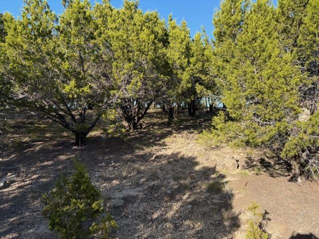 Excellent two acre lot in The Hills subdision at the north end of Possum Kingdom Lake. There is a good view of the surrounding countryside and neighborhood. Property is full of mature trees and ready to begin building on. The large lots in the subdivision give you privacy and seclusion, yet this is a very social and connected community. Lot ownership permits the use of all of the neighborhood amenities including; clubhouse with pool and fitness center, boat storage, community dock, boat ramp, lakefront area with a cabin that has restrooms and a covered patio and picnic area, fishing pond, walking trail, and twenty miles of private roads behind the gates.