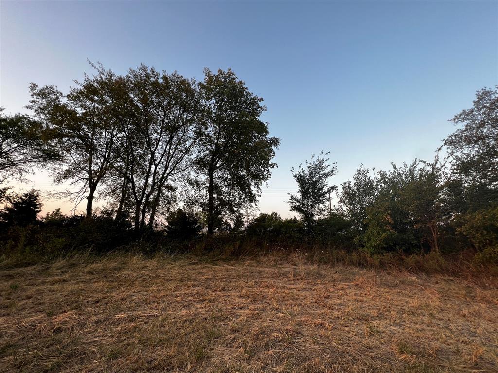 A1165 J Whittenberg - Land