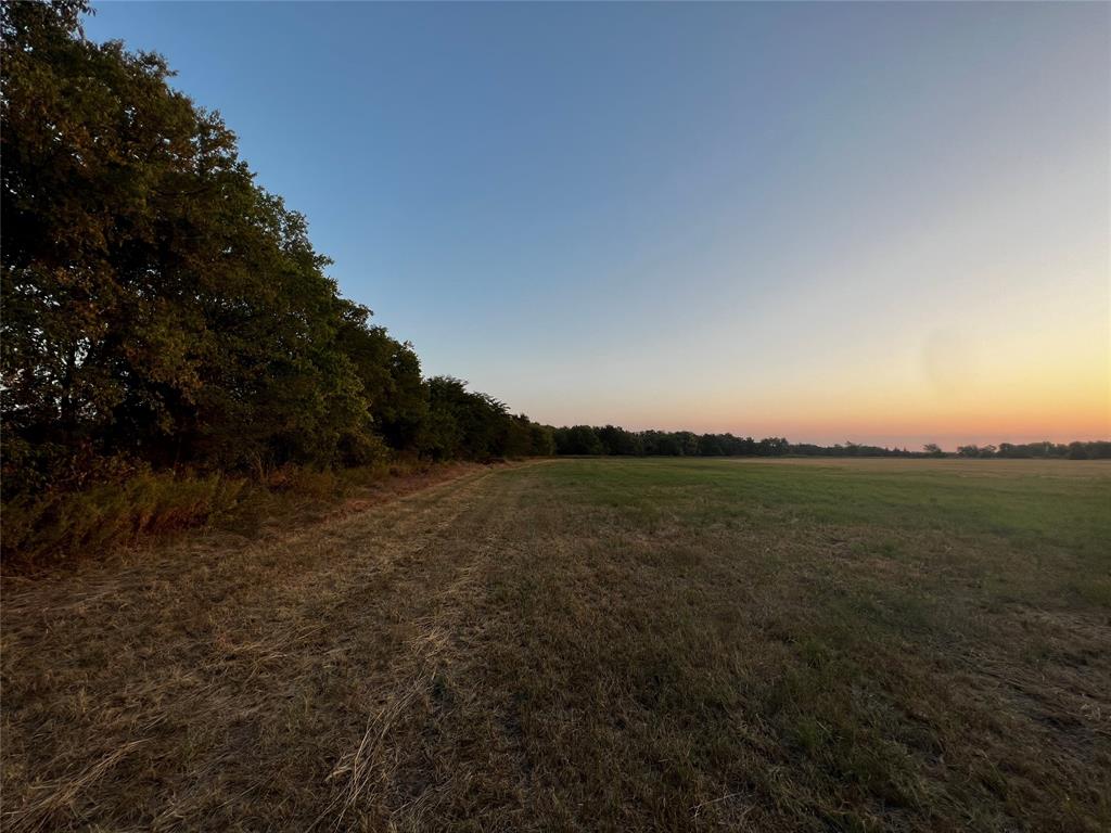 A1165 J Whittenberg - Land