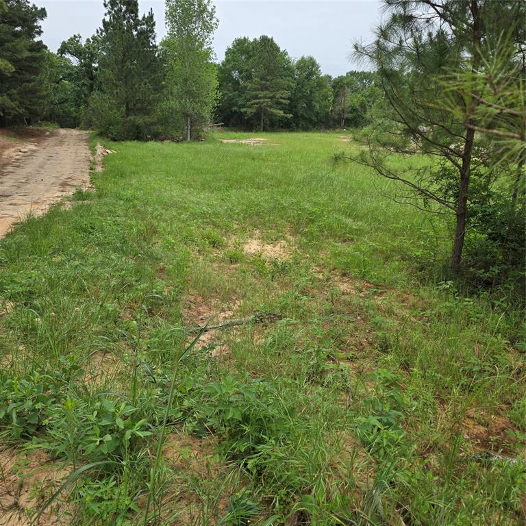 Payne Springs - Land