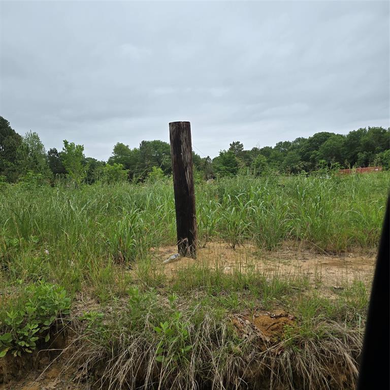 Payne Springs - Land