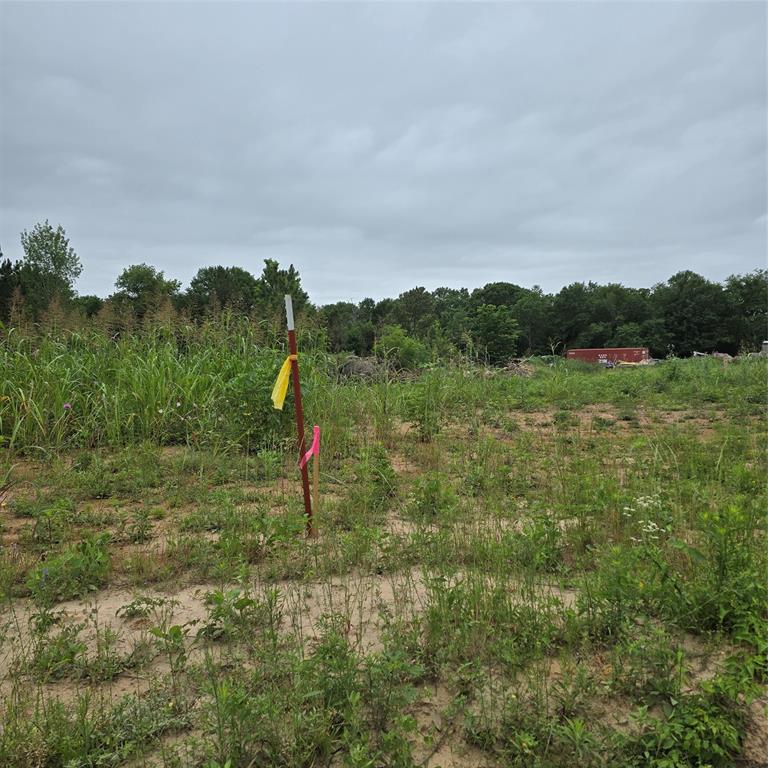 Payne Springs - Land
