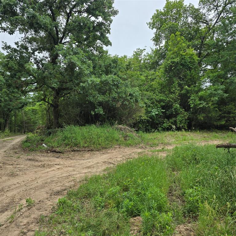 If you are looking for a secluded getaway, this is it. Approximately 19.928 wooded acres just minutes from Cedar Creek Lake. Located in the Malakoff school district. Great building site or getaway. Well and septic would be required for water and sewer.