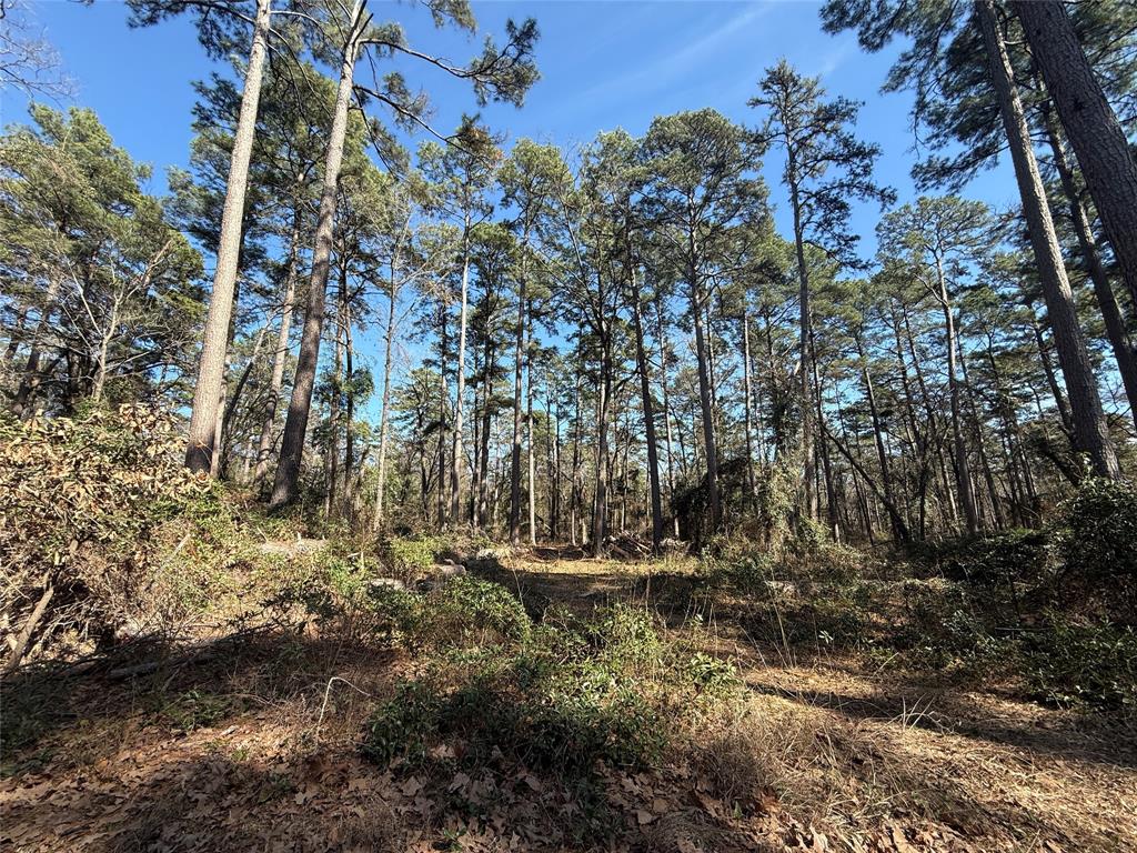 4D Country Estates - Land