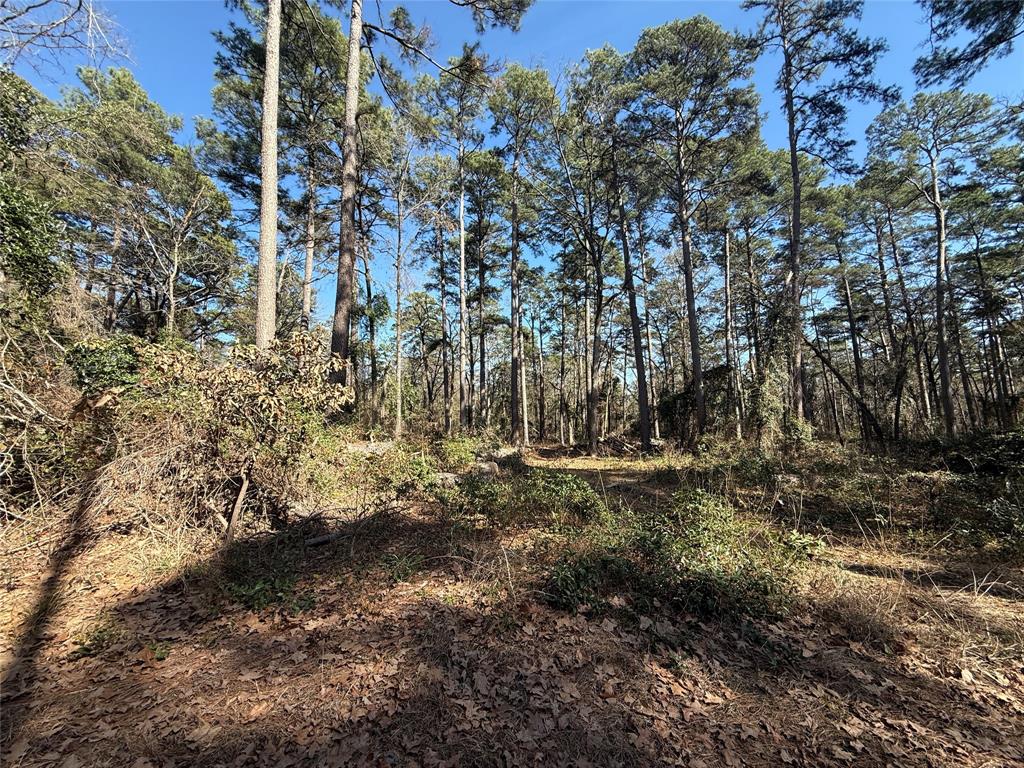4D Country Estates - Land