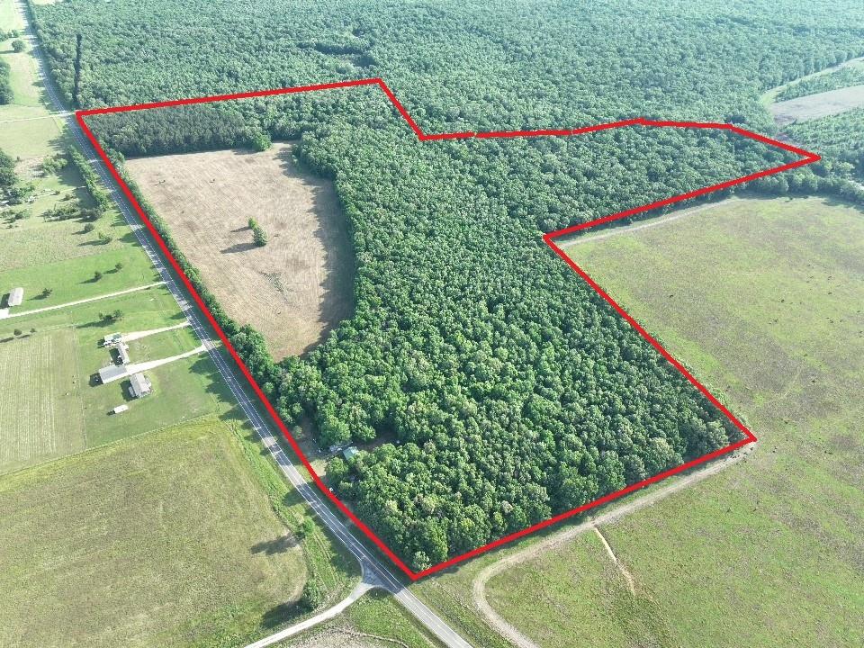 This 102+ or -acre tract is for the serious outdoorsman. With FM highway frontage providing easy access, this property offers the perfect balance of seclusion and convenience. Sand Branch skirting the NE quadrant of this tract offers a wildlife highway and enhances the recreational opportunities for this property. The land is a prime mix of plantation pine and mature hardwoods, creating ideal habitat for wildlife and delivering excellent hunting opportunities. Whether you're chasing whitetail or just looking to escape into nature, this property checks every box. A pond adds both recreational value and a reliable water source for game. Approximately 19 acres of open pasture provide versatility—perfect for food plots, livestock, or a future homesite. The remaining acreage is rich with timber and natural cover, giving the land a rugged, untamed feel while still being highly usable. Utilities are available, making it easy to build your hunting cabin, weekend retreat, or full-time residence without sacrificing the raw character of the land.