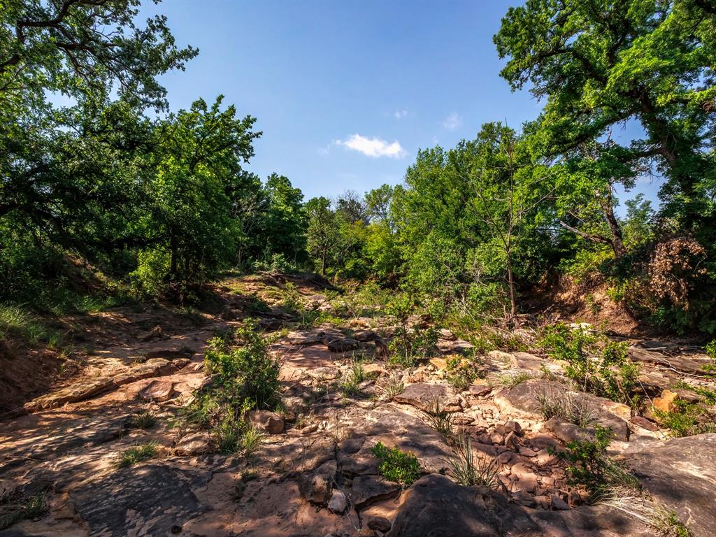 Edmund Pruitt Surv 135 Abs #73 - Land