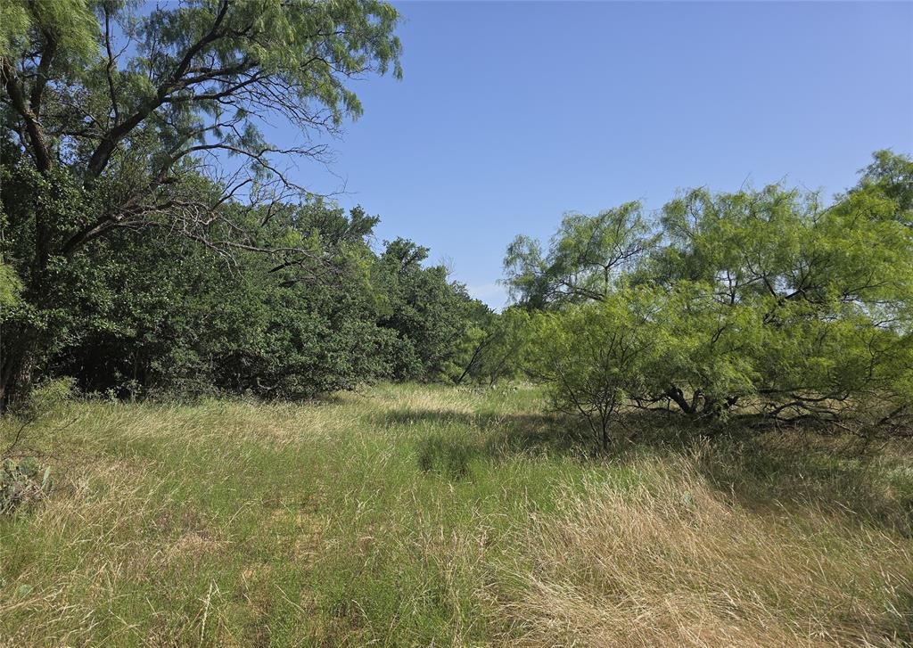 Edmund Pruitt Surv 135 Abs #73 - Land