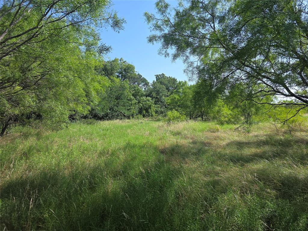 Edmund Pruitt Surv 135 Abs #73 - Land