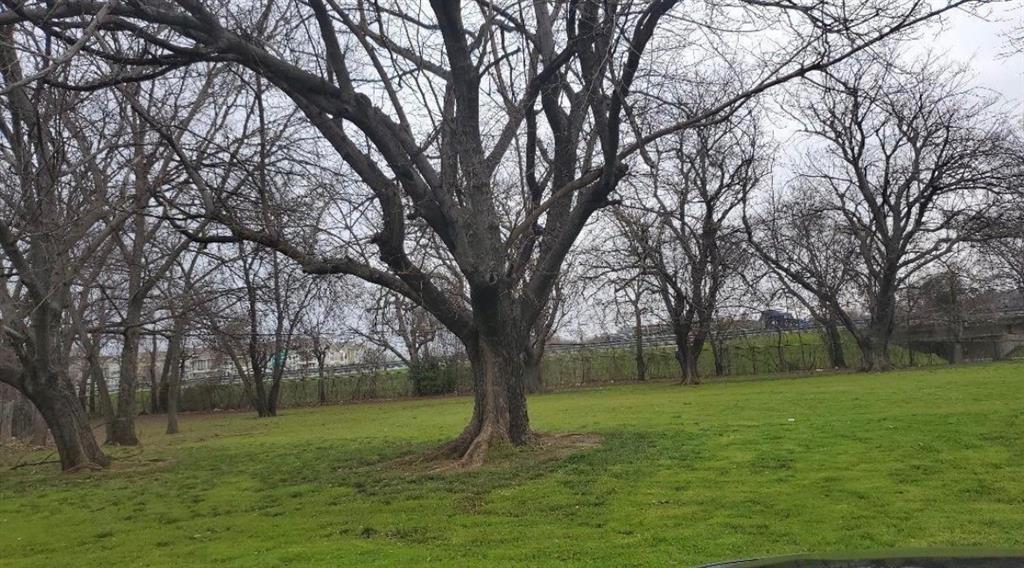 Salem Park - Land