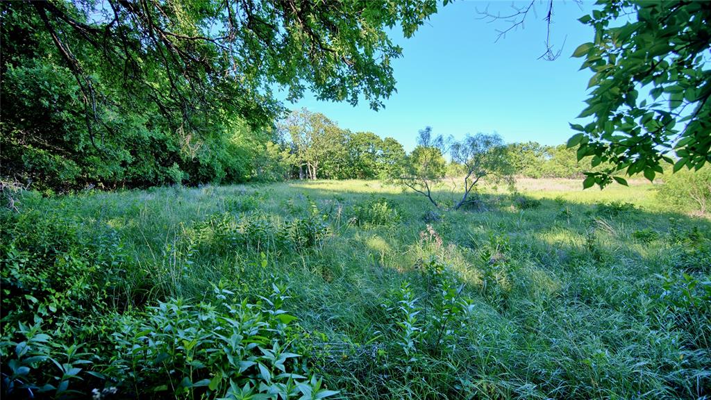 Robertson - Land