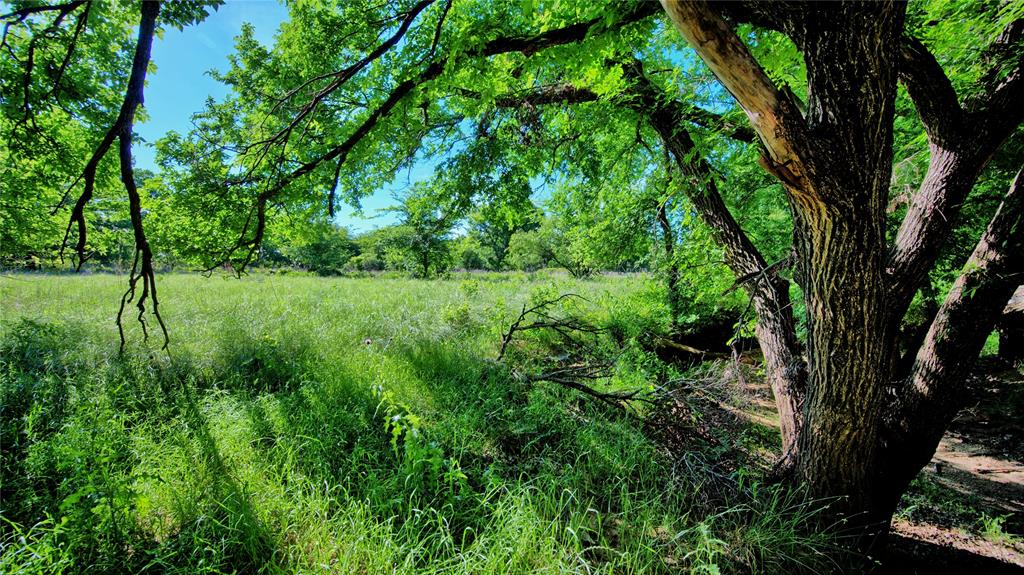 Robertson - Land