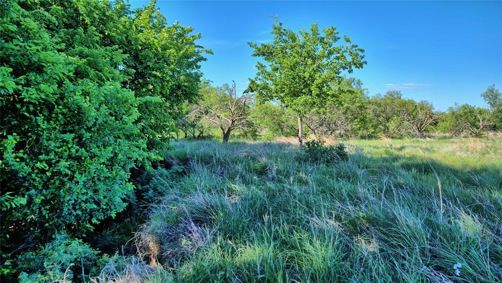 Robertson - Land