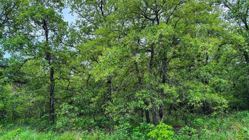 Nocona Hills - Land